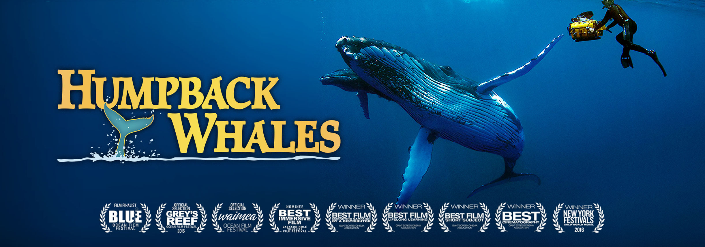 Cinéastes indépendants diffusés sur Scientology Network Cinéastes indépendants diffusés sur Scientology Network